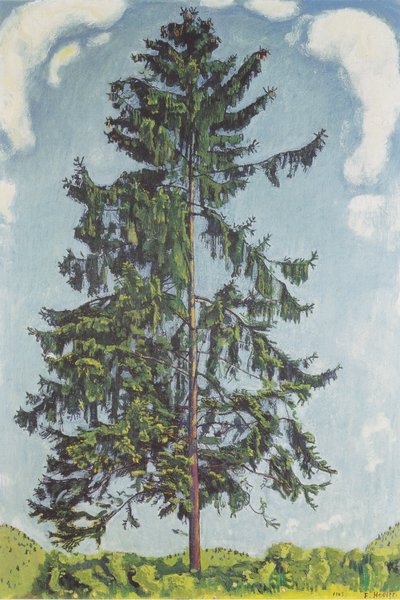 Abete vicino a Chamby da Ferdinand Hodler